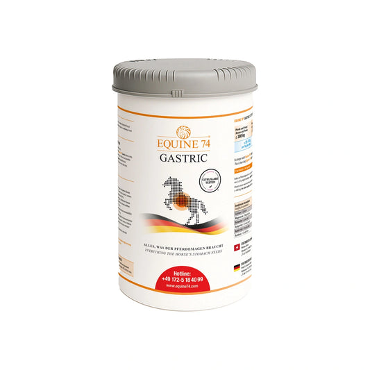Equine 74 Gastric 40 days supply (2 kg)