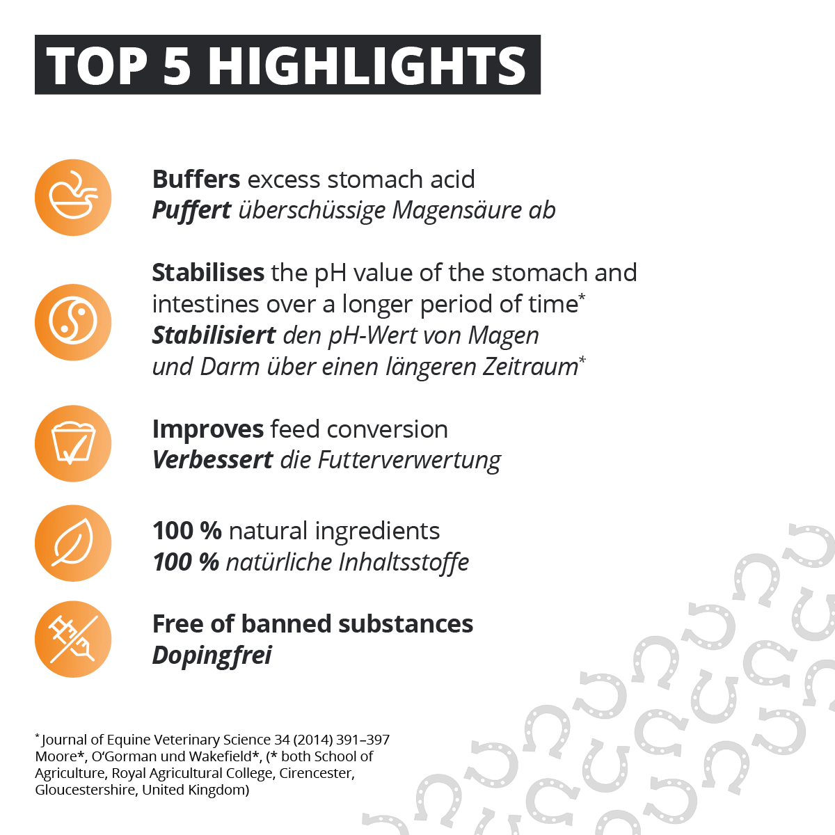 Equine 74 Gastric