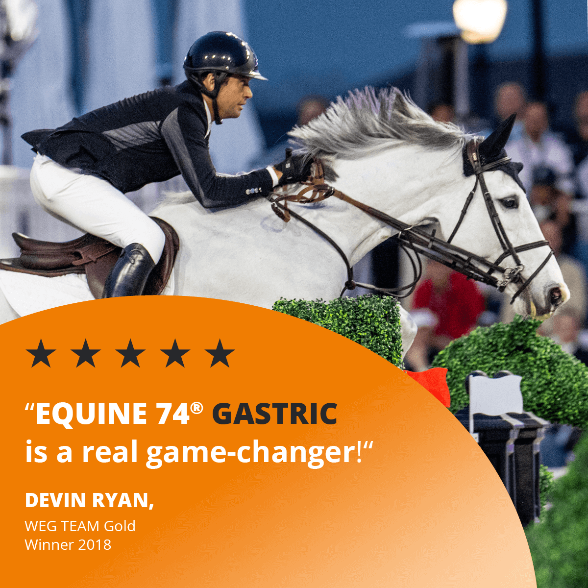 Equine 74 Gastric