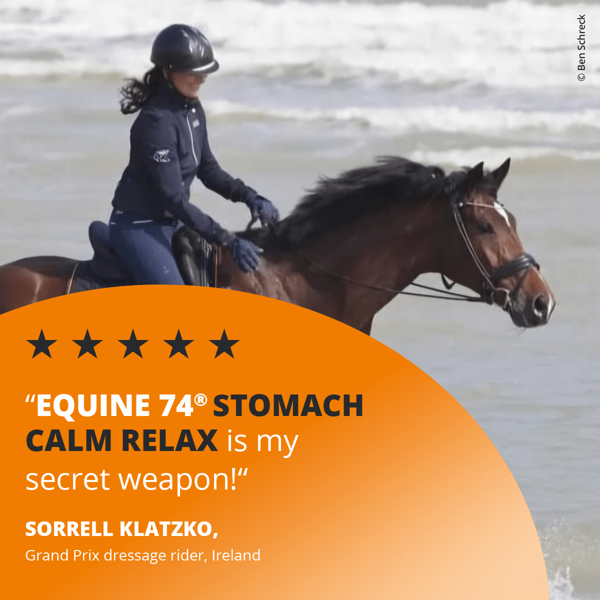 Equine 74 Stomach Calm Relax