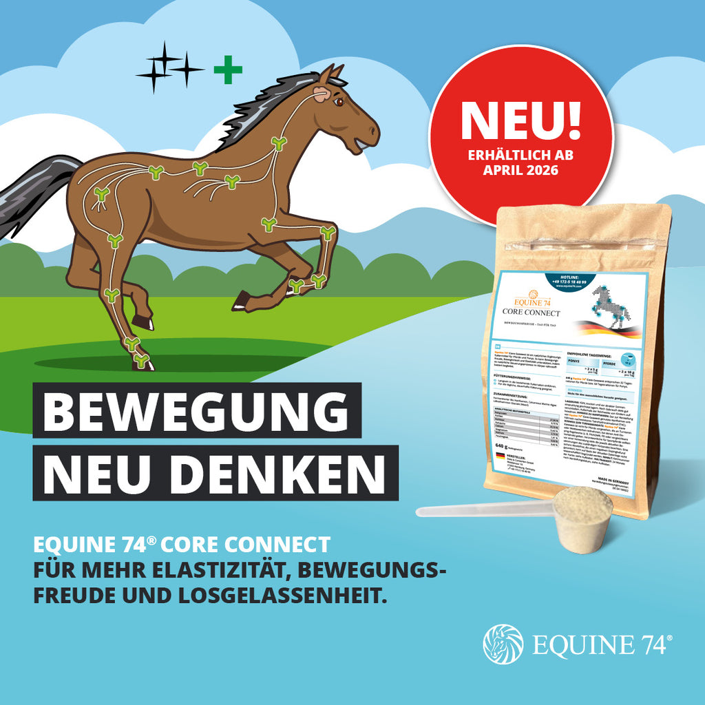 Equine 74® Core Connect (640g)