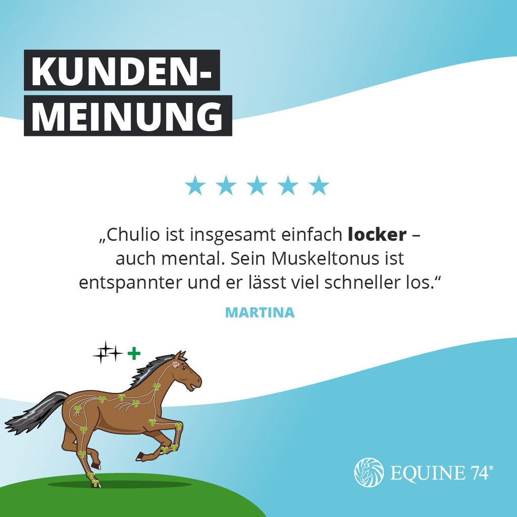 Equine 74® Core Connect (640g)