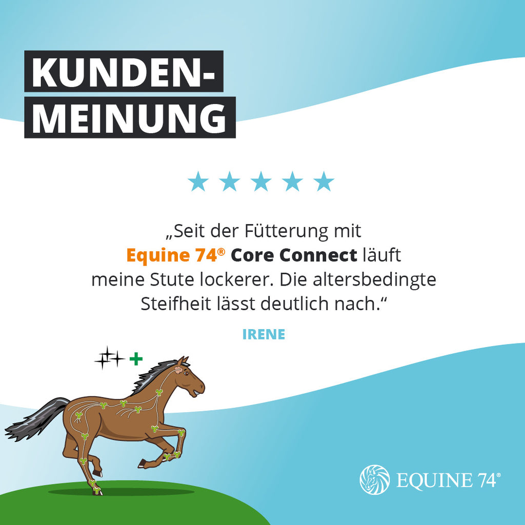Equine 74® Core Connect (640g)