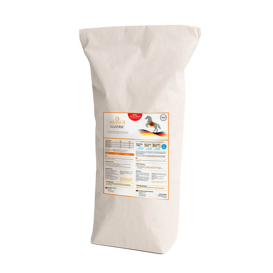 Equine 74 Gastric