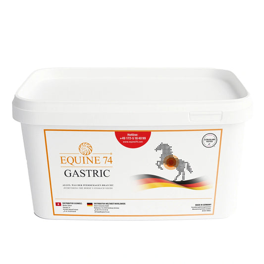 Equine 74 Gastric
