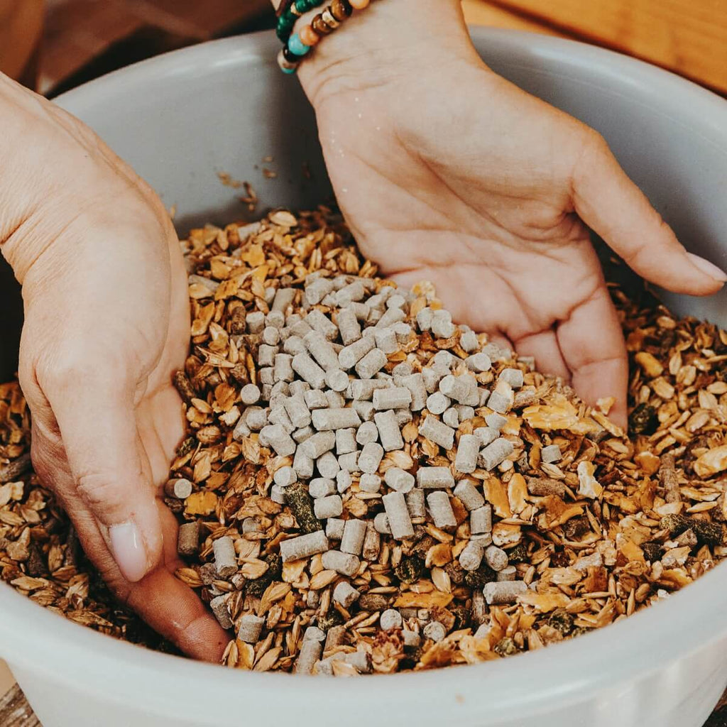 Equine 74® Gastric Feed Sample